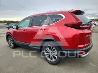 2020 Honda CR-V фото