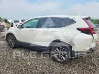 2020 Honda CR-V фото