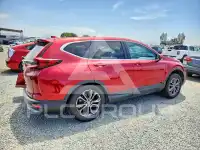 2020 Honda CR-V фото