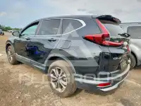 2020 Honda CR-V photo
