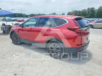 2020 Honda CR-V photo