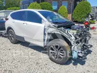 2020 Honda CR-V photo