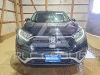 2020 Honda CR-V фото