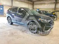 2020 Honda CR-V фото