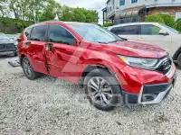 2020 Honda CR-V photo