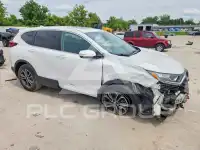 2020 Honda CR-V photo