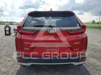 2020 Honda CR-V фото