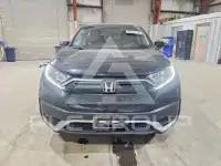 2020 Honda CR-V photo