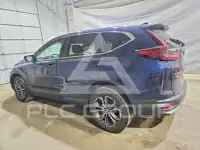 2020 Honda CR-V фото