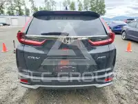 2020 Honda CR-V фото
