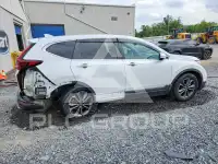 2020 Honda CR-V photo