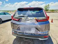 2020 Honda CR-V фото