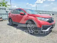 2020 Honda CR-V фото