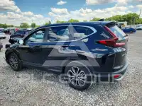 2020 Honda CR-V фото