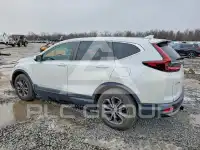 2020 Honda CR-V photo