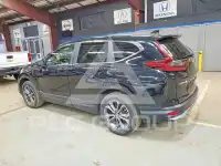 2020 Honda CR-V фото