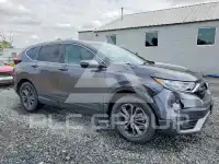 2020 Honda CR-V фото