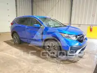 2020 Honda CR-V фото