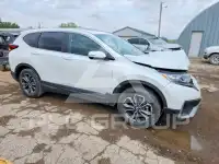 2020 Honda CR-V фото