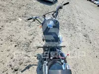 2020 Honda VT фото