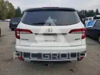 2020 Honda PILOT photo