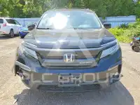 2020 Honda PILOT фото