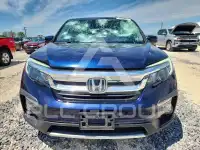 2020 Honda PILOT фото
