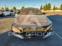 2020 Honda Accord photo