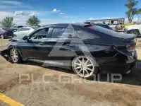 2020 Honda Accord photo
