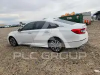2020 Honda Accord photo