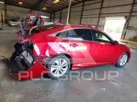 2020 Honda Accord фото
