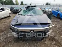 2020 Honda Accord photo