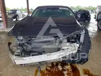 2020 Honda Accord photo