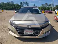 2020 Honda Accord photo