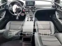 2020 Honda Accord photo