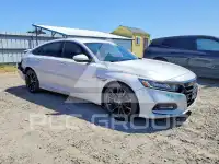2020 Honda Accord photo