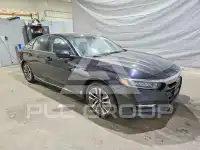 2020 Honda Accord photo