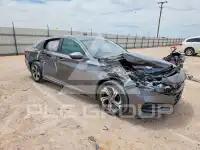 2020 Honda Accord photo