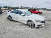 2020 Honda Accord photo