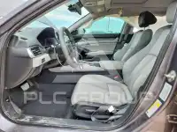 2020 Honda Accord photo