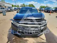 2020 Honda Accord photo