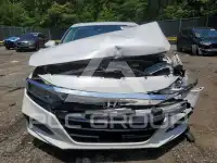 2020 Honda Accord photo