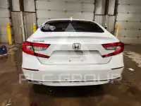 2020 Honda Accord photo