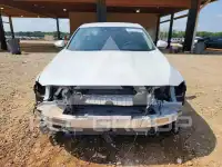 2020 Honda Accord photo