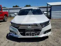 2020 Honda Accord photo