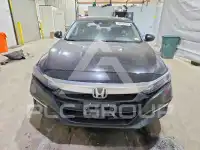2020 Honda Accord photo