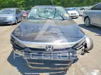 2020 Honda Accord photo