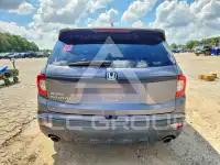2020 Honda PASSPORT photo