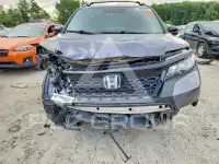 2020 Honda PASSPORT photo