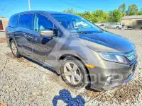 2020 Honda ODYSSEY фото